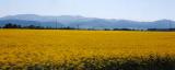 View from a train in Silesia