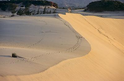 passeio de cavalo nas dunas do cumbuco