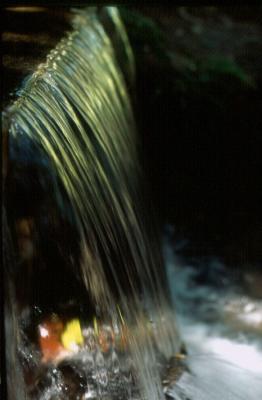 QuedaDgua