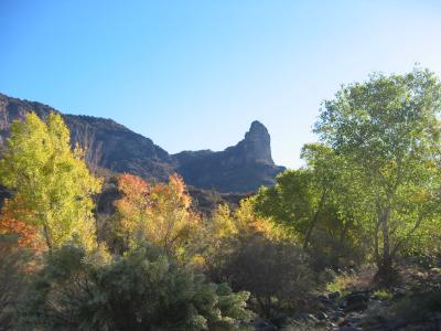 IMG_0352.JPG