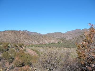 IMG_0392.JPG