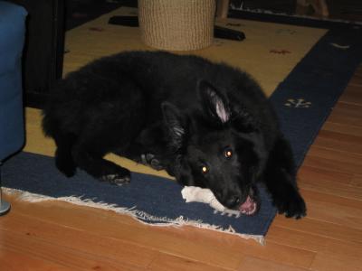sam 02/27 001.jpg