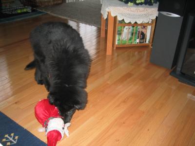 sam 02/27 005.jpg
