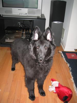 sam 02/27 009.jpg