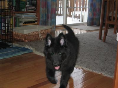 sam 01/29 005.jpg