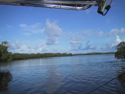 IMG_2060.JPG