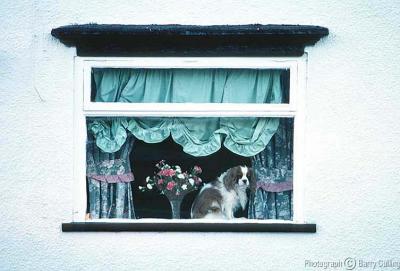 England Shifnal Window 1.jpg