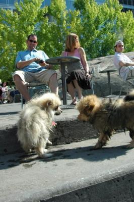Aug1a_04_095.JPG
