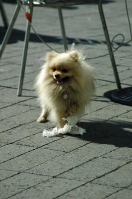 Aug1a_04_439.JPG