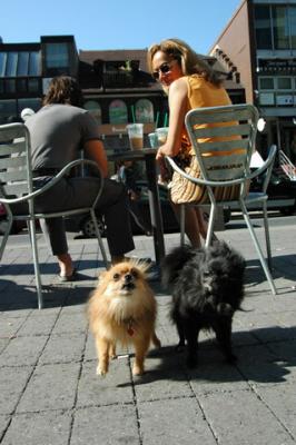 Aug1a_04_482.JPG