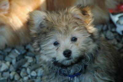 Aug1b_04_029.JPG