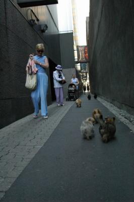 Aug1b_04_094.JPG
