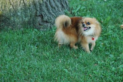 Aug1b_04_133.JPG