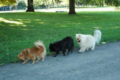 Aug1b_04_227.JPG