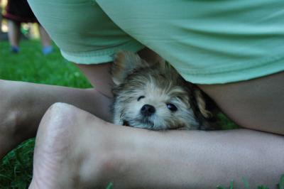 Aug1c_04_047.JPG