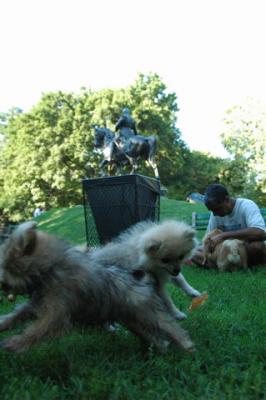 Aug1c_04_095.JPG