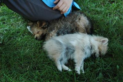 Aug1f_04_006.JPG