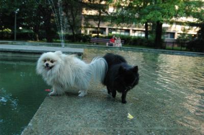 Aug1e_04_095.JPG