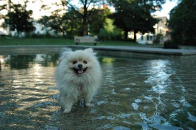 Aug1e_04_157.JPG