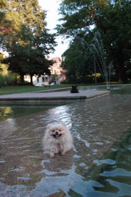 Aug1e_04_181.JPG
