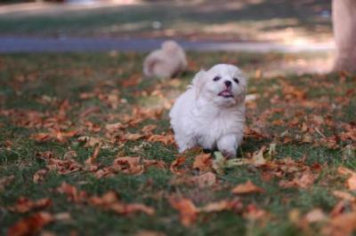 Oct6_04_153.JPG