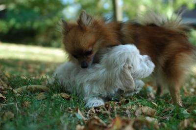 Oct6_04_266.JPG