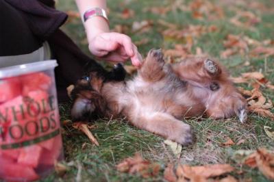 Oct6_04_383.JPG
