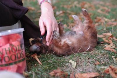 Oct6_04_384.JPG