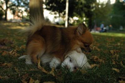 Oct6_04_397.JPG