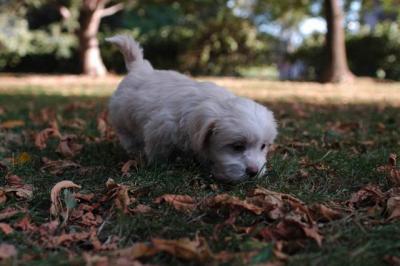 Oct6_04_408.JPG