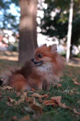 Oct6_04_414.JPG