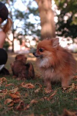 Oct6_04_417.JPG