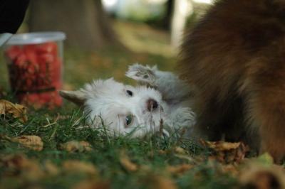 Oct6_04_427.JPG
