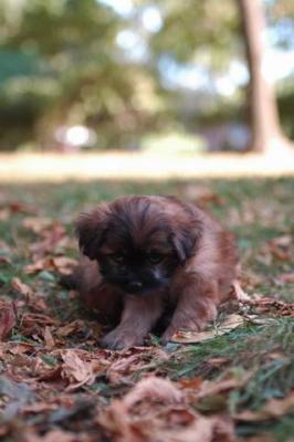 Oct6_04_474.JPG