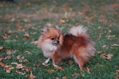Oct6_04_482.JPG