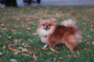 Oct6_04_484.JPG