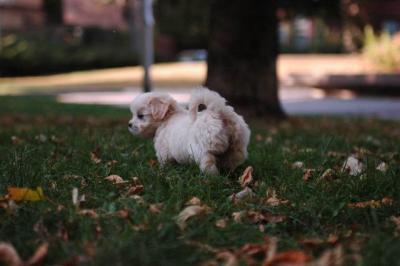Oct6_04_507.JPG