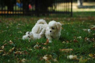 Oct6_04_546.JPG
