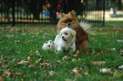 Oct6_04_579.JPG