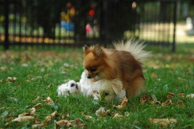 Oct6_04_591.JPG