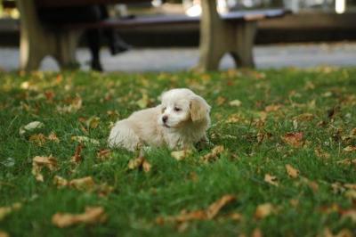 Oct6_04_604.JPG
