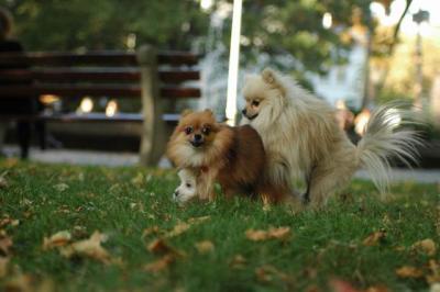 Oct6_04_624.JPG