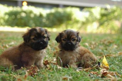 Oct6a_04_058.JPG