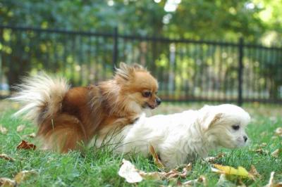 Oct6a_04_097.JPG