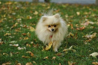 Oct6a_04_289.JPG