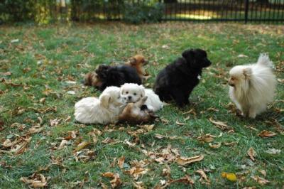 Oct6a_04_407.JPG