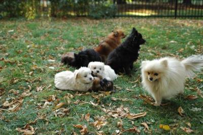 Oct6a_04_410.JPG