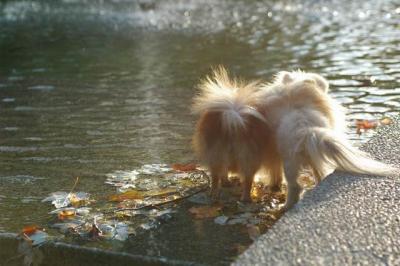 Oct6b_04_060.JPG