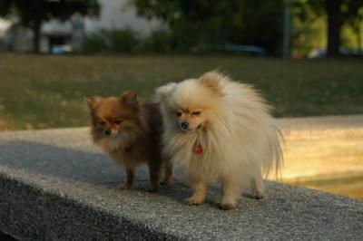 Oct6b_04_209.JPG
