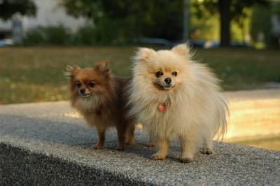 Oct6b_04_227.JPG